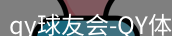 qy球友会